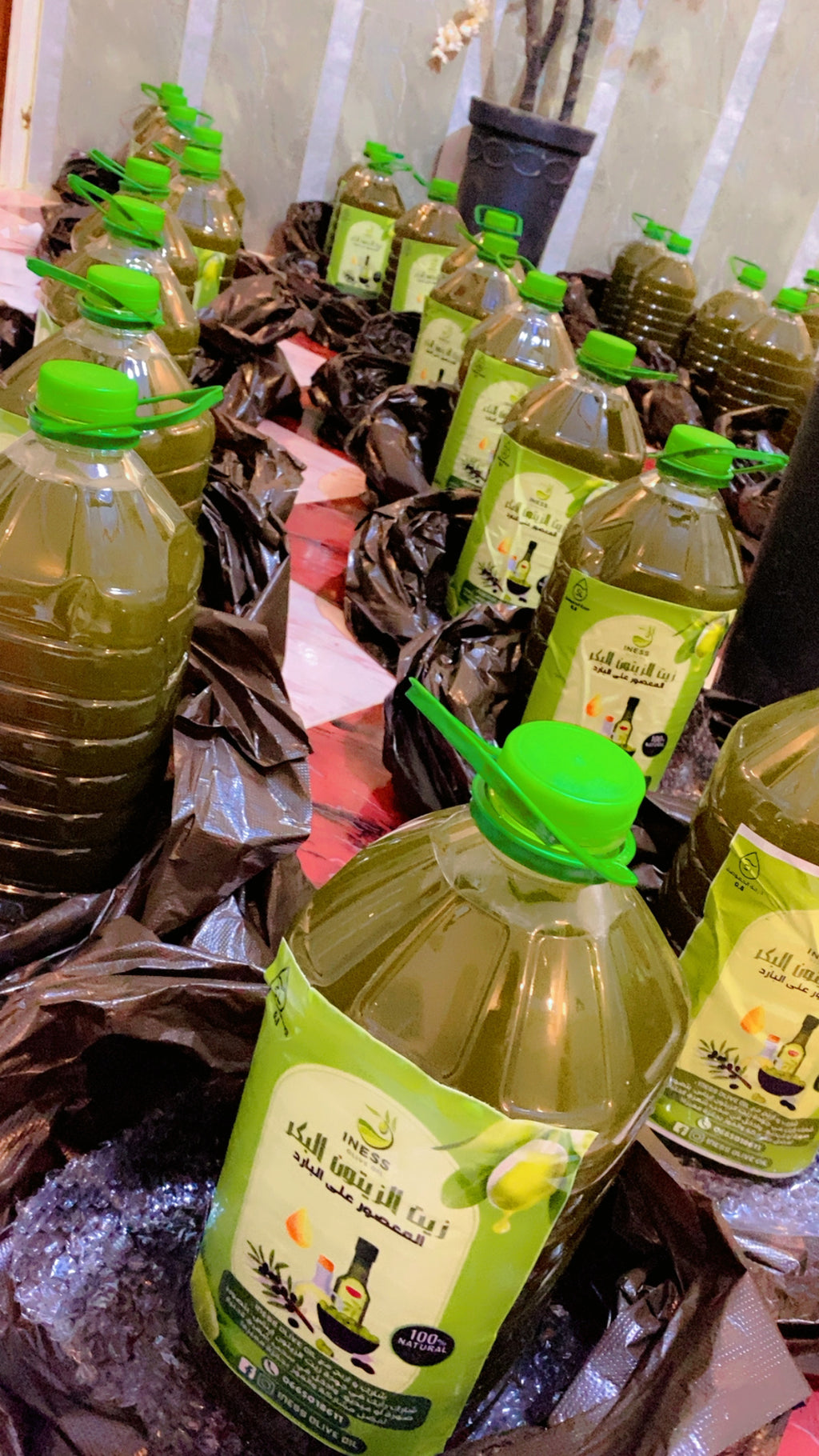 INESS OLIVE OIL