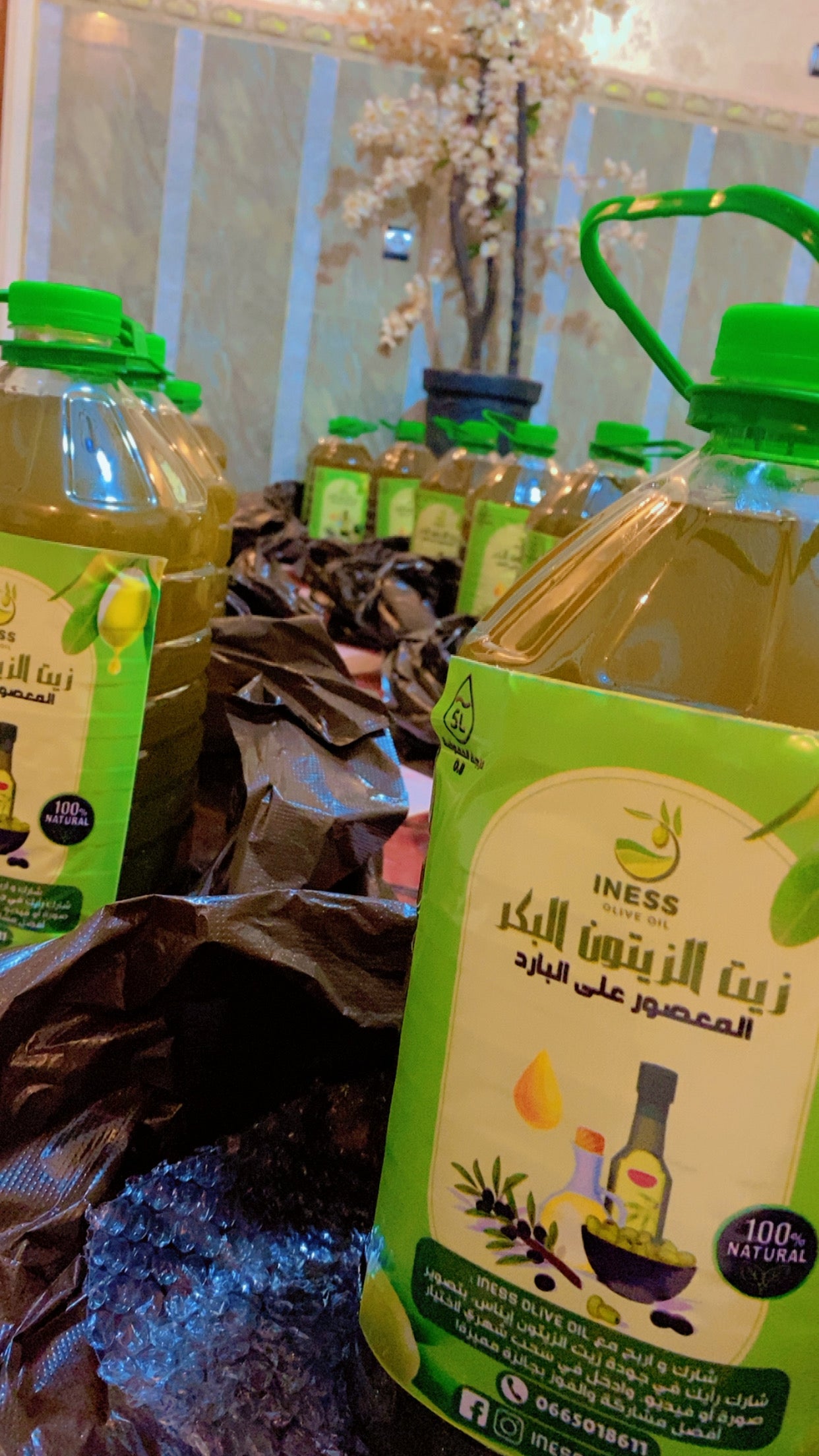 INESS OLIVE OIL